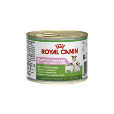 Royal Canin Wet Dog Starter Mousse
